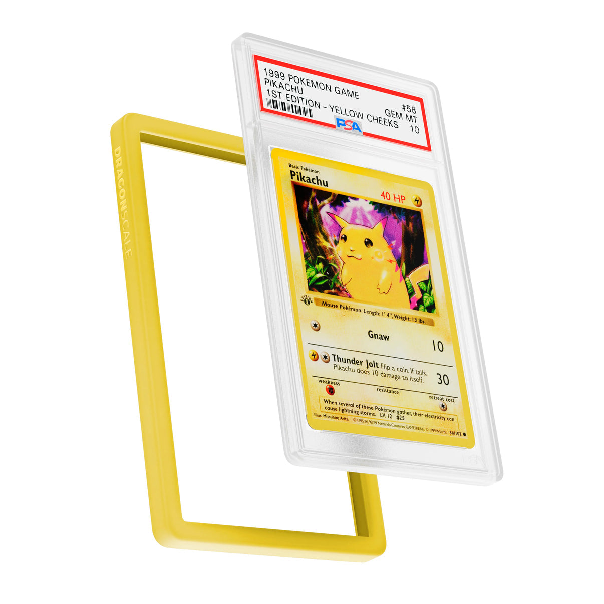 PSA Slab Bumper Guard (SOLID)