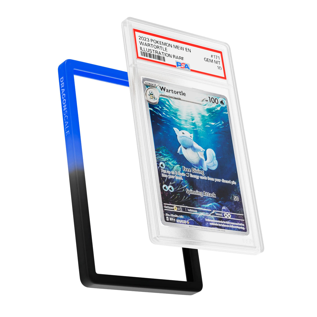 PSA Graded Guard (GRADIENT)