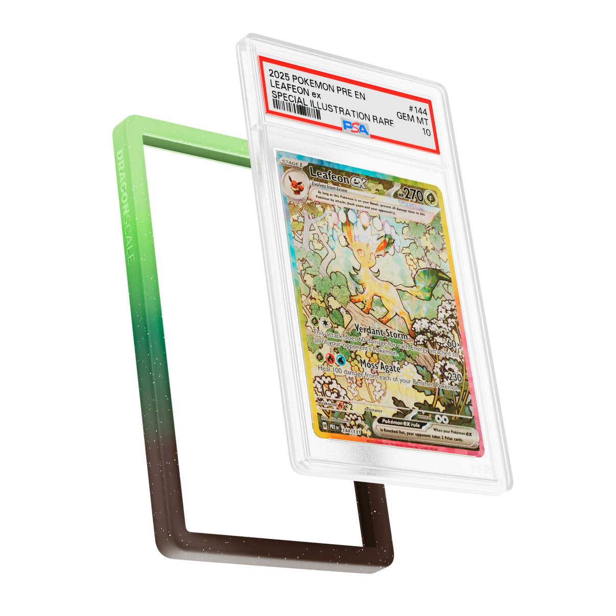 PSA Slab Bumper Guard (MYTHIC)