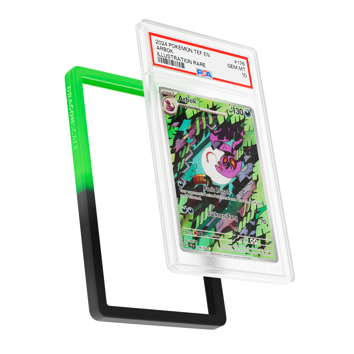 PSA Graded Guard (GRADIENT)